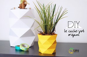 Comment faire un Cache-pot avec du papier ?