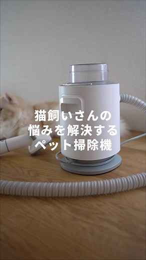 @Neakasa Japan公式アカウント さまより商品提供していただきました 猫飼ってる人必見🐈 猫様のお手入れと部屋の掃除が一度でできちゃう掃除機です✨ 2/25まで最大50%OFFの猫の日セールを開催中！ 公式サイトでクーポンコード:samia を入れると3000円OFFになります （2月25日まで有効です） #pr #gifted #neakasa
