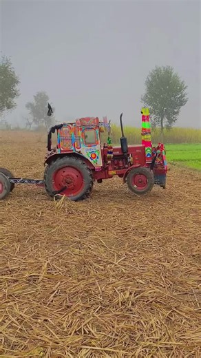 Belarus Tractor Show Highlights and Insights