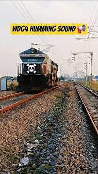 Feel the Power of WDG4! Diesel Humming Sound ASMR 🎧 #Railfans #Shorts#wdg4 #birdtrend #gameape