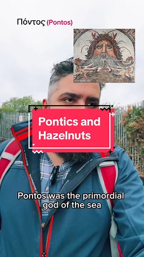 Exploring the Etymology of Hazelnuts in Different Languages
