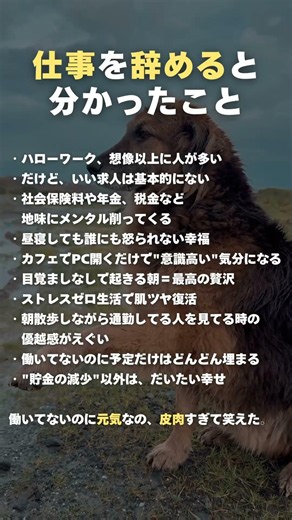 仕事を辞めると分かったこと