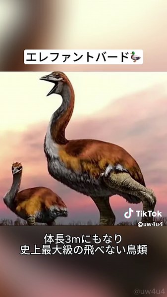 パート95｜科学者が復活させようとしている動物たち😳Part1 #おすすめにのりたい #雑学 #動物 #絶滅危惧種 #可愛い