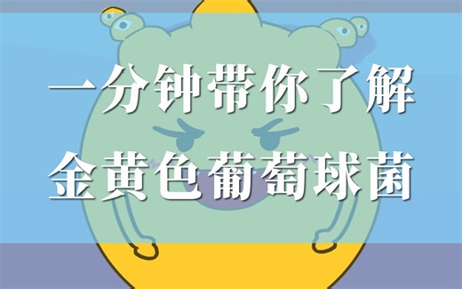 一分钟带你了解金黄色葡萄球菌！
