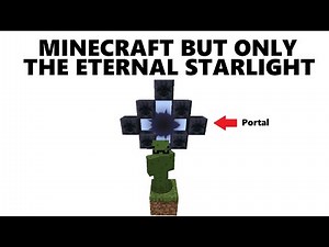 Minecraft but only the ETERNAL STARLIGHT DIMENSION
