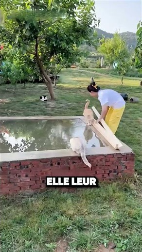 SHE SAW THOSE CATS DRINKING DIRTY WATER! 😱🐈💧