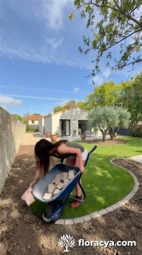 Et si ta pelouse devenait ça ? 🌿 Transformation jardin avant/après