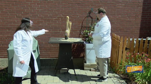 Why Fireworks Glow Different Colors + EPIC Mentos & Diet Coke Experiment