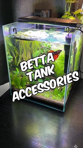 Jungle Betta Tank Accessories Here are all the accessories I use in my betta tank setup, along with some tips based on my own experience keeping bettas in a thriving planted nano aquarium. 1. Lighting – Hygger 957 Aquarium Light For lighting, I’m using the Hygger 957, a reliable, budget-friendly aquarium light that provides full-spectrum lighting suitable for growing aquatic plants. I currently run it at maximum intensity for 8 hours per day. Originally, I only had it set for 6 hours, but I incr