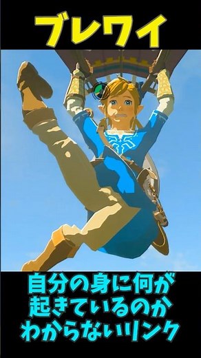【ブレワイ】自分の身に何が起きてるかわからないリンク編 #ゼルダの伝説 #zelda #ゼルダの伝説ブレスオブワイルド #ゼルダの伝説ティアーズオブザキングダム