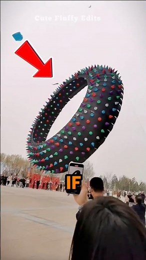 World's Largest KITE Takes Flight! 😱