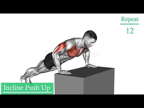 Full Body Workout at Home | No Equipment Full Body Exercises