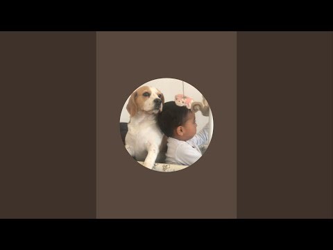 Small Things That Matter#STTM is live