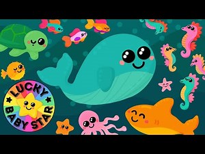 🐳 Colourful Under the Sea Adventure for Toddlers & Babies 🐡