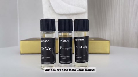 Santal Diffuser Oil 50ml – Santal 33 Inspired Aroma – Rich Sandalwood, Amber, Vanilla & Musk – Long-Lasting Scent for Home, Office, Cold-Air & Ultrasonic Diffusers