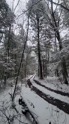 Chedder Vision. ❄️🫶🧀 #snow #camp #love #nature #chronictrips #vt #fun #play | Seth Frappier