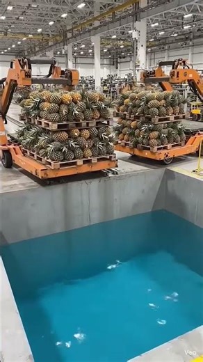 food processing unit