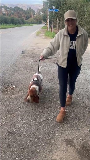 Marathon runner chooses Bassett Hound.. “like owner, like dog” WE ARE NOT THE SAME! #dogs #cutedog