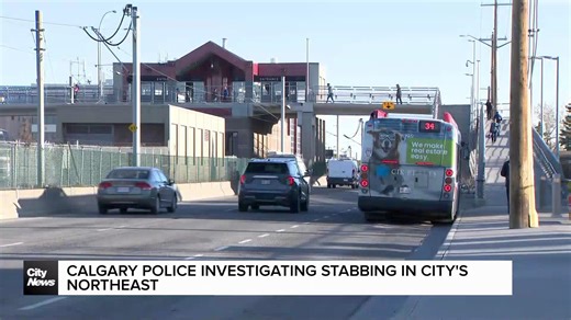 Man hopped on bus after being stabbed in NE Calgary: police
