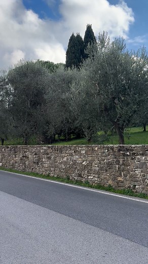 Walking home from Fiesole, I pass by this ancient stone wall with an olive grove beyond. | Goddess Tours Italy