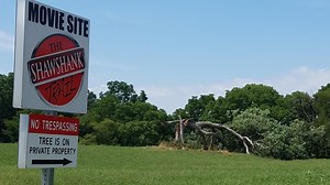 Oak tree made famous by 'Shawshank Redemption' gets busy dying