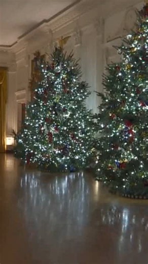 White House reveals 2025 Christmas decor