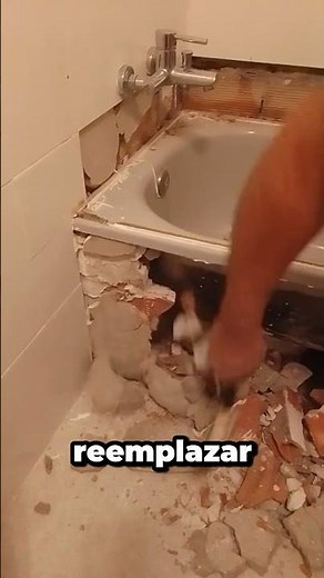 Así renovaron una ducha vieja SIN obra