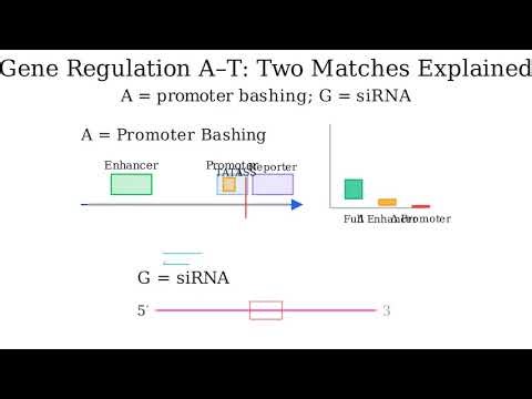 exogenous RNA molecules which prevent expression through an RNA interference mechanism
