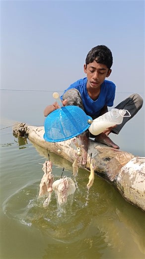 Amazing Fishing Best Idea By Hook Traps - 14 #fishinglife #riverfishing