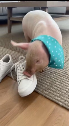 Encuentra el error en este video ? 🫡#viral #comedy #funny