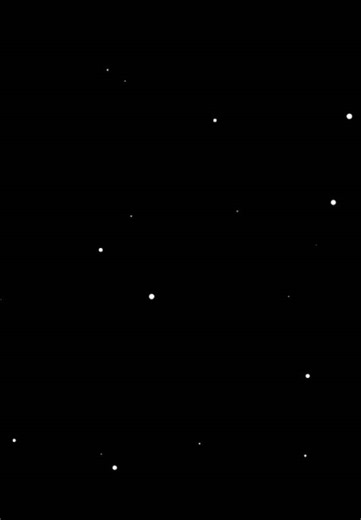 Explore Taylor Swift's 'Cardigan' Lyrics