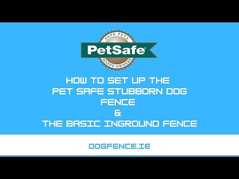 How to set up the Petsafe Stubborn Dog Fence and the Basic Inground system