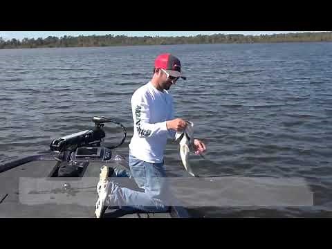 How to Fish a Rat-L-Trap in Grass