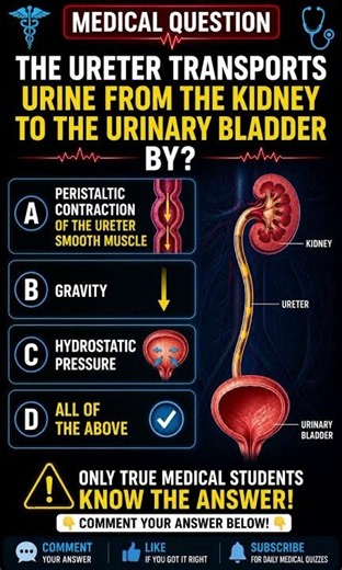 medical questions