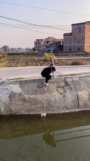 35K views · 595 reactions | New project 03 Ep 142 | Viral Plus | Facebook