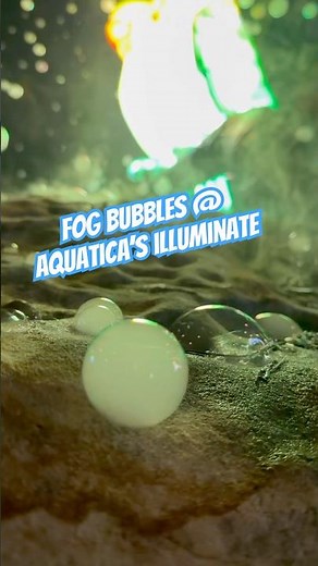 Bubbles filled with fog at Aquatica’s Illuminate in Orlando
