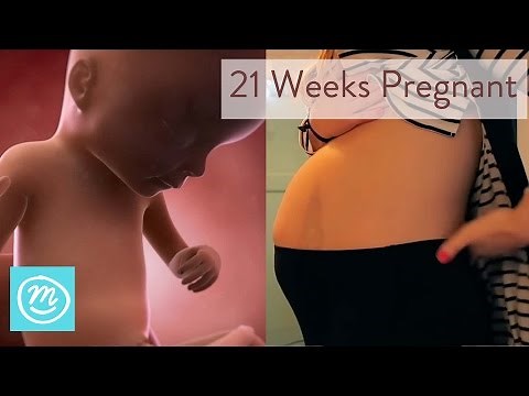 21 Weeks Pregnant: What You Need To Know - Channel Mum