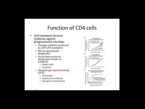 Abbas Chapter 10-11: Differentiation and Function of CD4 Effector T Cells (Raje)