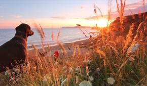 Brook Beach - Newport