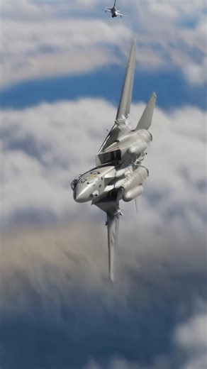 Digital Combat Simulator World on Instagram: "F-14 dogfight with a bandit. Name the enemy’s aircraft? #dcs #aviation #flightsim #fighterpilot #military #avgeek"