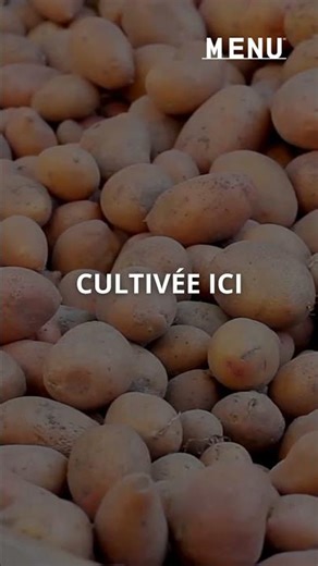 La frite québécoise des restaurateurs qui performe à chaque rush!