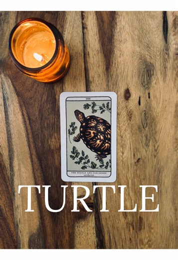 Pick a card 🐴🐢 Personal readings available 🍀