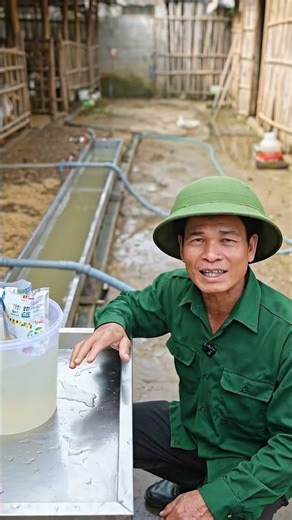 Tips for raising ducks using easy-to-follow folk methods.