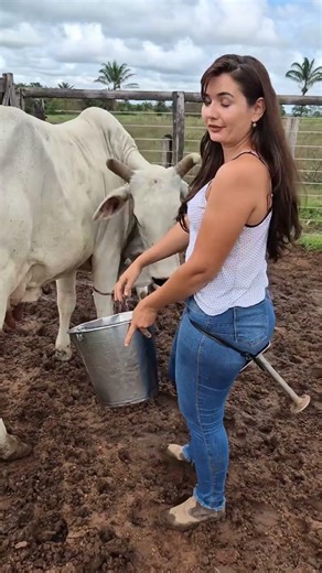 Farm Girl Milking Cow by Hand | Traditional Dairy Farming #villagelife