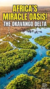 Inside Africas Miracle Oasis The Okavango Delta Botswana