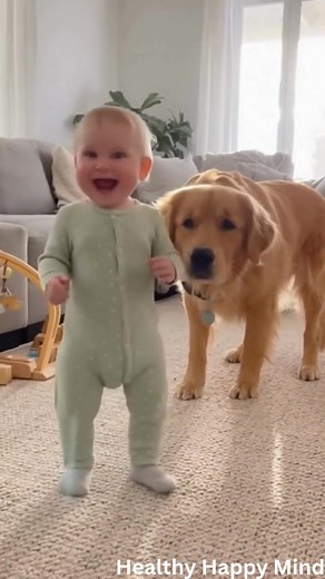 116K views · 1.7K reactions | Baby wiggles side to side. Dog watches… then starts copying the exact same wiggle. - [ ] #babylove #cutebaby #fypシ #fyp #baby #viralreelsシ #newborn #papasprimerizos #humor | Healthy Mind Happy | Facebook