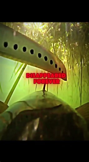 Indian Man Spent $10,000 on a Camera Just to Gift His Pet Fish 😭🐟 #shorts