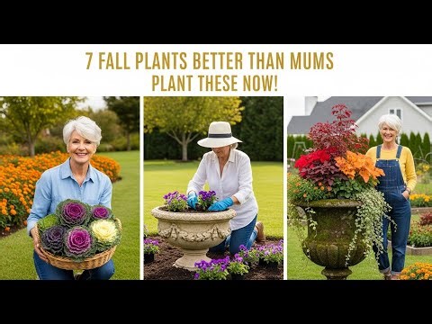 7 Stunning Fall Container Plants Better Than Mums – Try Them in Your Garden Today!