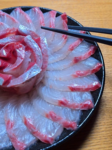 一週間熟成カンパチの刺身の楽しみ方