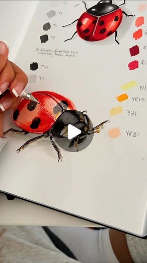 Casey Lynn Hancock on Instagram: "Drawing ideas. Realistic drawing of an insect using Copic markers. Drawing ideas • drawings artist • drawing sketch • realistic drawings • realism art • realistic insect • insect drawing • photo realistic drawing #photorealisticdrawing #realismart #drawingideas #drawingideas #drawingartist #drawing #realisticinsect #drawingsketch #realisticdrawing #markers #copicmarkers"